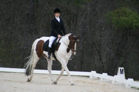 Visit Fox Hill Equestrians