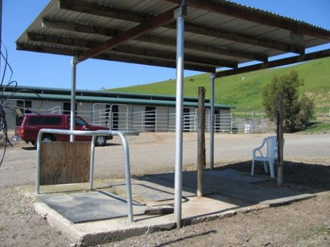 Visit Whispering Hills Horse Ranch