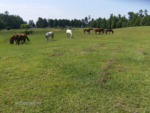 Visit 2R Stables