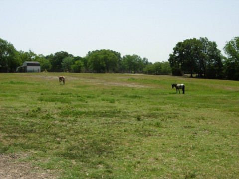 Visit Cash South Ranch