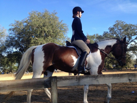 Visit The Diamond P Equestrian Center, LLC