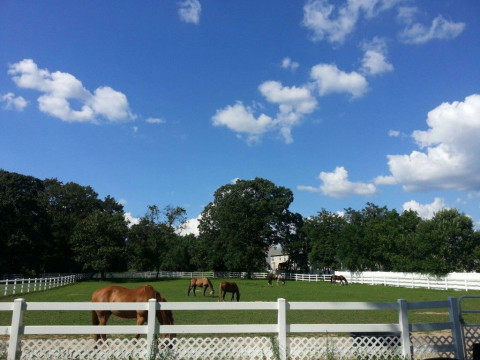 Visit Thundering Hooves Equestrian Center