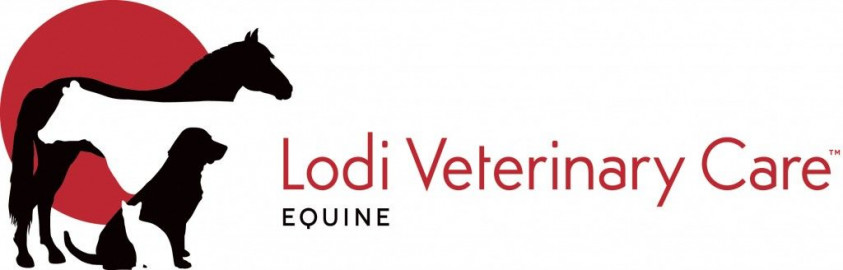 Visit Lodi Veterinary Care