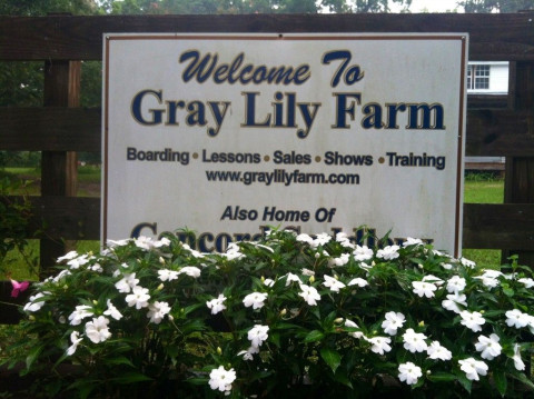 Visit Gray Lily Farm