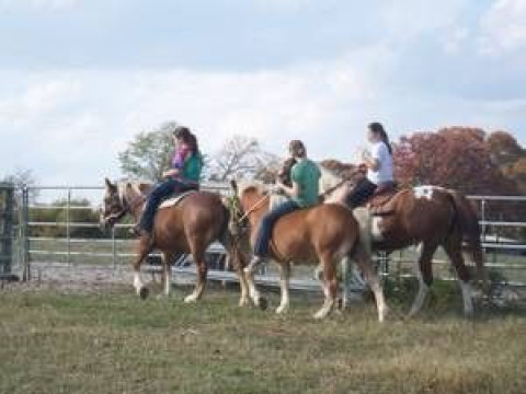 Visit St. Francis Farm