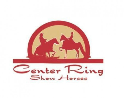 Visit Center Ring Show Horses