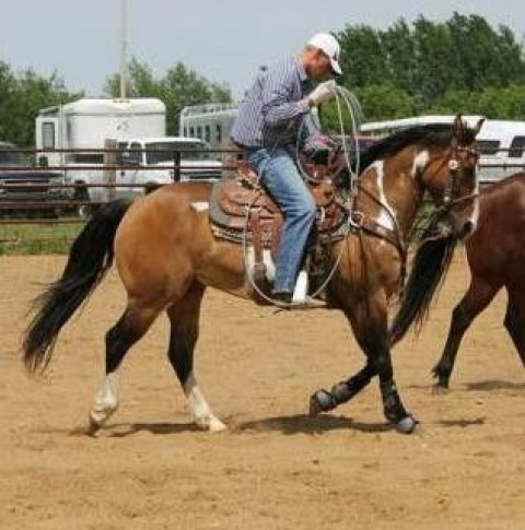 Visit Schmitz Farrier Service