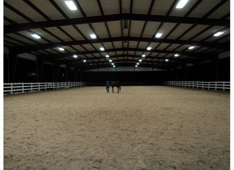 Visit Aldine Westfield Stables L.L.C-713-875-6306