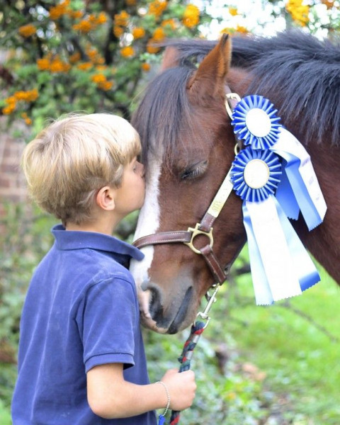 Visit Glendevon Stables