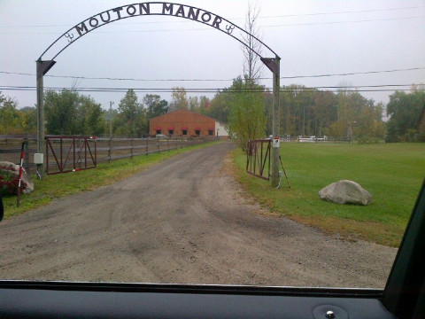 Visit Mouton Manor LLC.