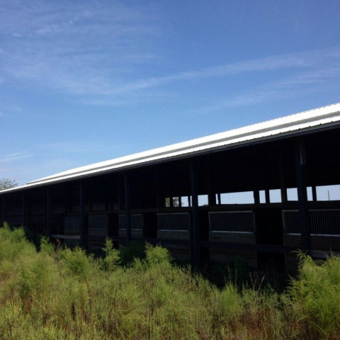 Visit Sally horse training facility