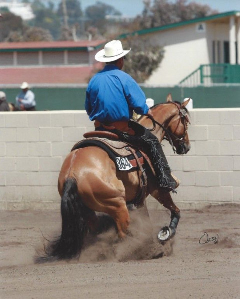 Visit Rick Baer Training Stables
