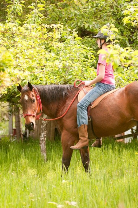 Visit NW Natural Horsemanship Center