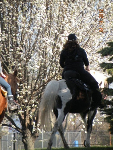 Visit Black Water Riding Stables/City Ranch