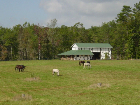 Visit Beechcrest Farm