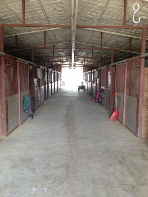 Visit Werneck Ranch