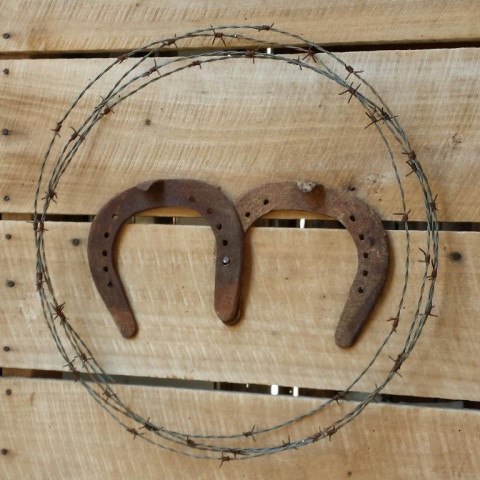 Visit Circle M Stables