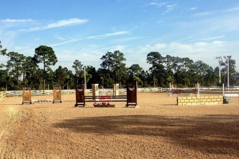 Visit Martin Downs Equestrian / Nancy Dunn