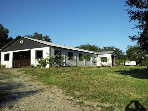 Visit Dream Big Horse Club