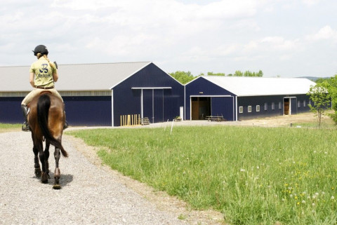 Visit Bennett Equestrian