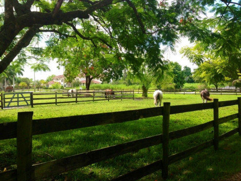 Visit PASTURE BOARD AVAILABLE