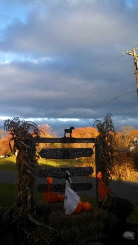 Visit Boots and Saddles Boarding Facility