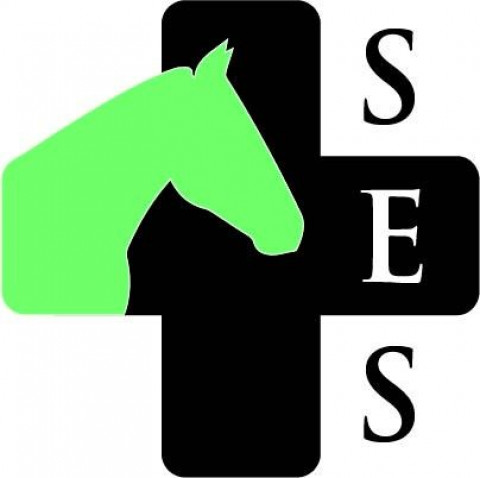Visit Smiley Equine Services, LLC