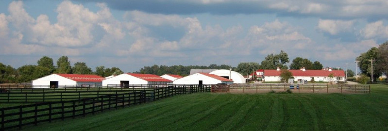 Visit Glassford Perphormance Horses