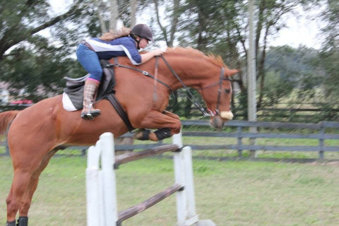 Visit Alexandria Amos / Birds Eye View Equestrian Center