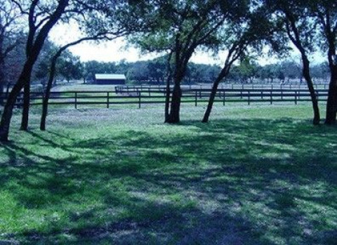 Visit Beasom Stable