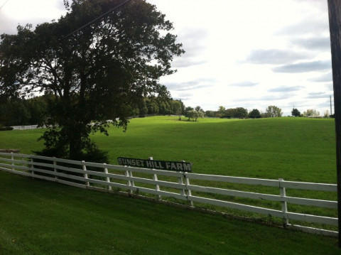 Visit Sunset Hill Farm