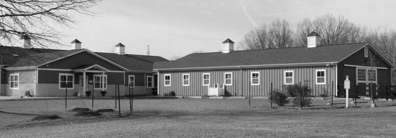 Visit The Piedmont Equine Practice