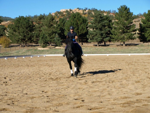 Visit Tolland Falls Equestrian Center