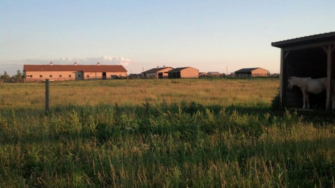 Visit Wounded Arrow Ranch, LLC