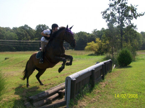 Visit Hunters Ridge Equestrian  Center LLC