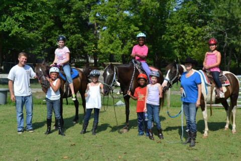 Visit Horse and Art Camp at Stargazer Stables
