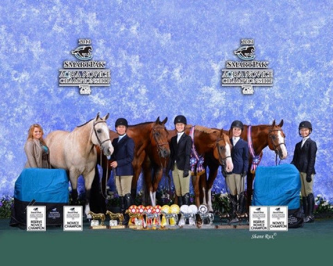 Visit TopNotch Performance Horses