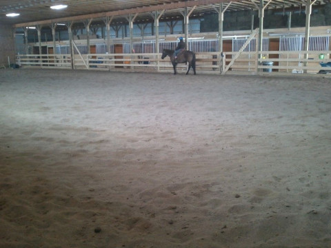 Visit Premier Equestrian Center LLC