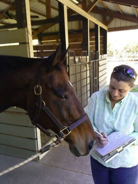 Equine Vet In Winter Garden Florida Orange County