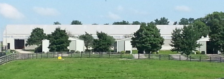 Visit Dreamfield Farm