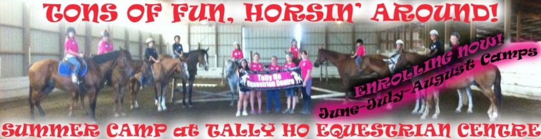 Visit Tally Ho Equestrian Centre