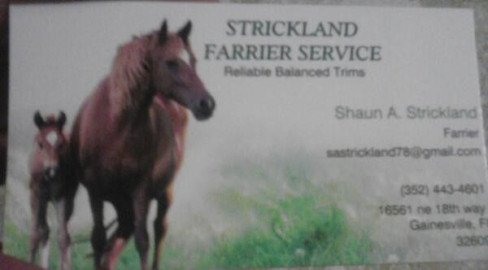 Visit Strickland Farrier Service