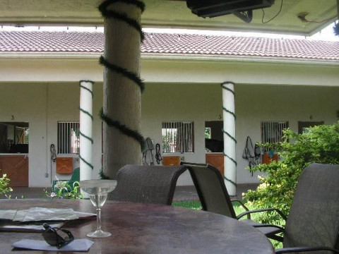 Visit Dancing Horses Stables