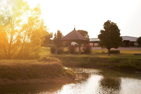 Visit Whispering Willow Stables