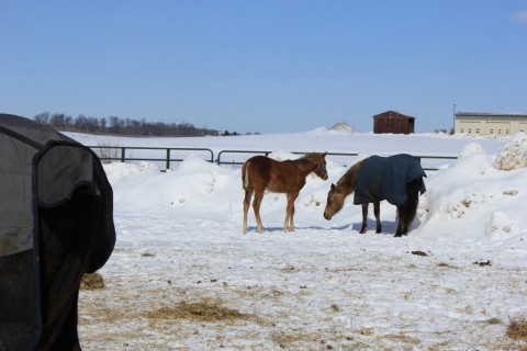 Visit FourB Farm