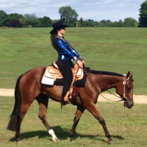 Visit Ribbons & Blues Equestrian