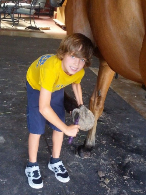 Visit Boca Summer Horse Camp