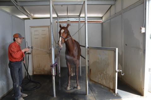 Visit Francisco Zamora Equestrian Center