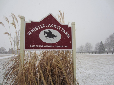 Visit Whistlejacket Farm