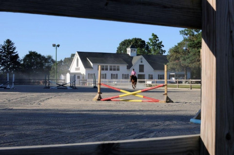 Visit The Cutter Farm